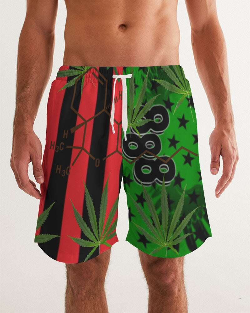 The Molecular Structure- T8T Men's Swim Trunk