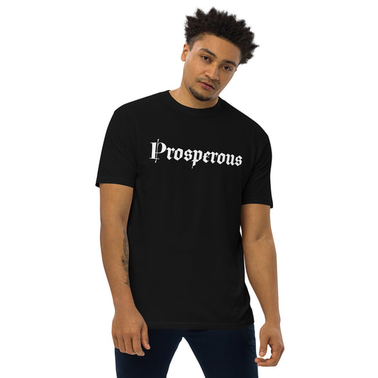 Prosperous Men’s Premium Heavyweight T-Shirt